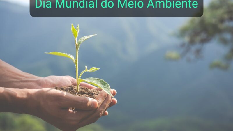 Dia Mundial do Meio Ambiente (junho 2023)